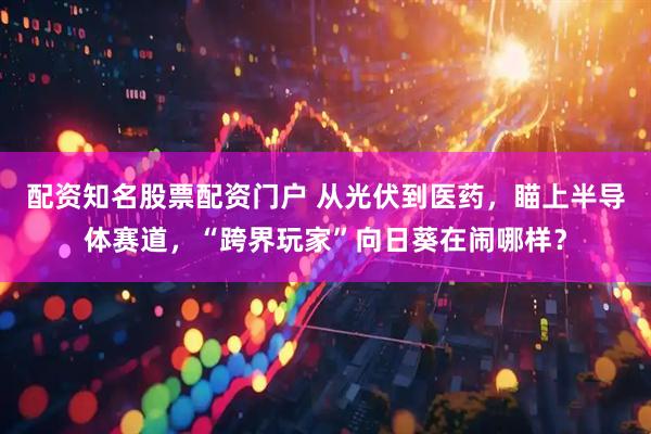 配资知名股票配资门户 从光伏到医药，瞄上半导体赛道，“跨界玩家”向日葵在闹哪样？