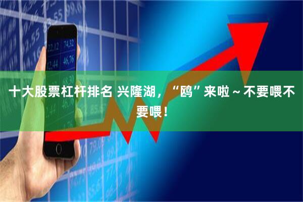 十大股票杠杆排名 兴隆湖,“鸥”来啦~不要喂不要喂!